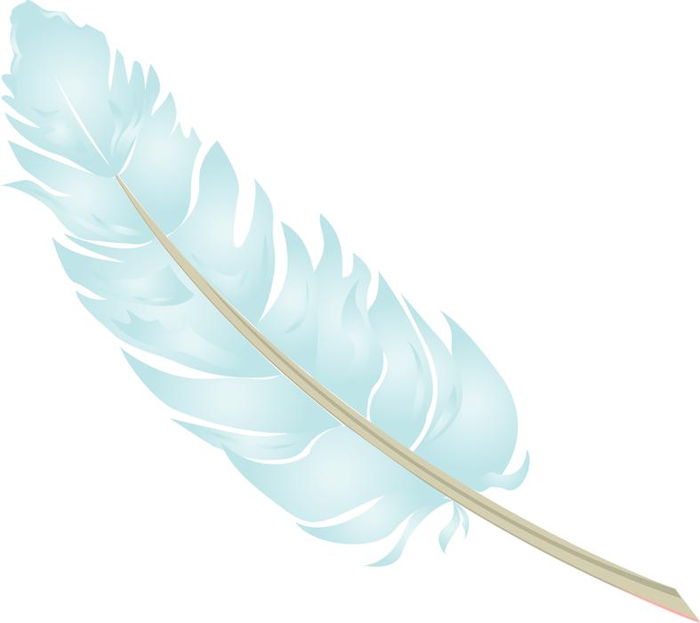 beautiful blue feather pattern
