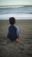 Water Beach Sea
