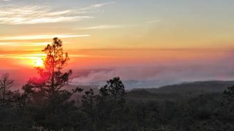 Sunset Nature Dawn