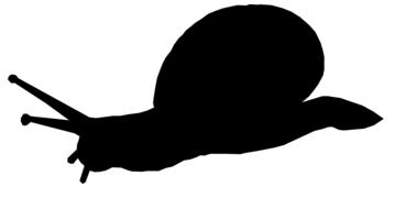 silhouette animal snail shell slow