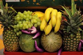 Tropical healthy fruits