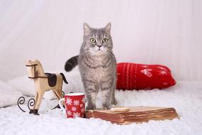 Tomcat Cat Christmas