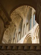 Cathedral Norwich Vault