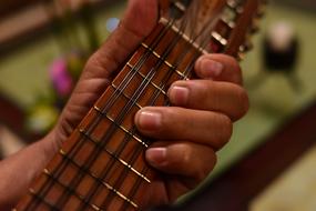 hand on guitar strings close up on blurred background