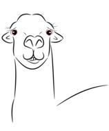 llama llama head animal face
