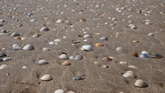 Sand Beach Costa