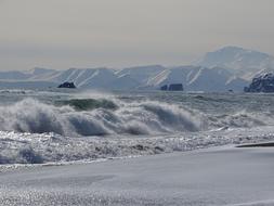 The Pacific Ocean Sea Wave