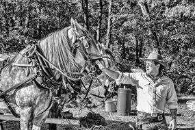 black and white, cowboy and horse