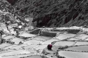 Chola Peru Latin America