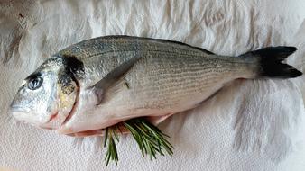 raw fish and onions