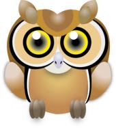 owl wisdom ave feathers bird