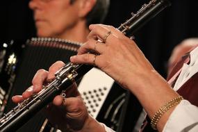 Musical Orchestra people