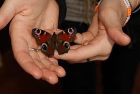 People Butterfly Hand