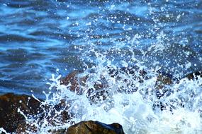 Mar Wave Water