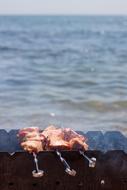 grilled meat with spices