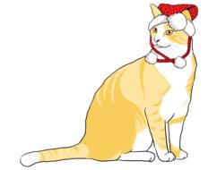 christmas cat animal pet