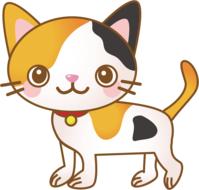 drawing of a colored cat