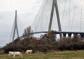 Normandy Bridge in France