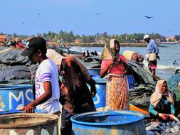 People in colorful clothing, at the fish market near the water