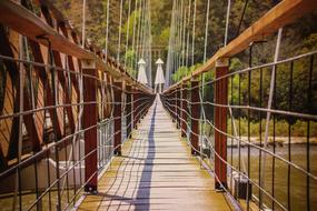 rope bridge over the river