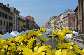 Milan Spring Naviglio