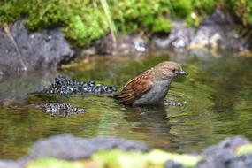 Natural Outdoors Waters Wild