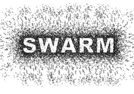 swarm ants insect text