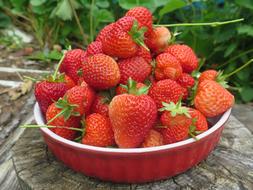 Sweet delicious strawberries in a plate