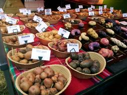 delicious fresh potatoes on sale