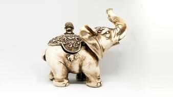 Animal Nature Elephant
