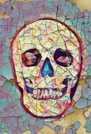 skull color background