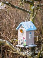 Bird Feeder Robin