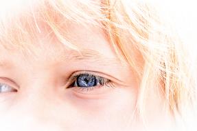 Face Young Portrait