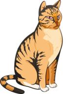 striped cat