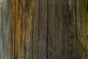 Texture Wood Wall