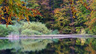 Poland Bieszczady Lake