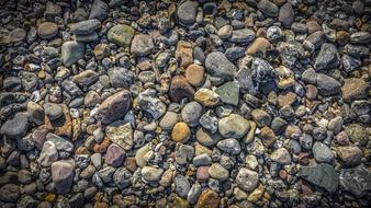 Stones Pebbles Pebble