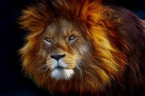 fractalius big cat animal