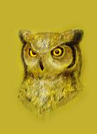 owl figure sketch illustration