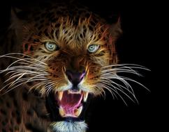 fractalius profile picture cat