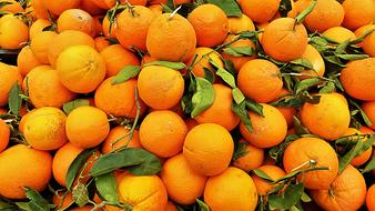 Sweet tasty healthy fruits