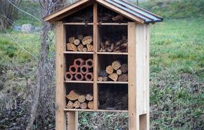 protective wooden building for insects