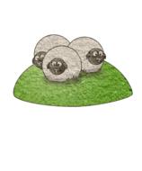 sheep animal good friday fridays