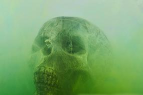 Skull Dry Head green smoke