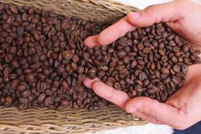 Bitter fragrant grains on your hands
