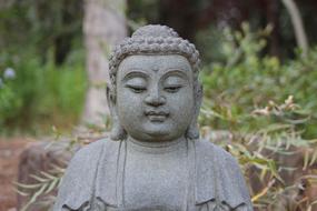 buddha grey park