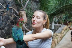 Bird Nature Beautiful