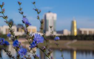 Astana Kazakhstan Flowers