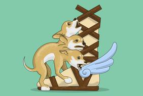 cerberus puppy mythology dog