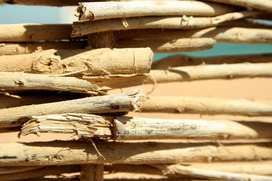 Background with folded branches